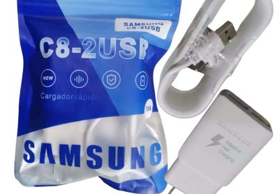 Carga rapida samsung S10+